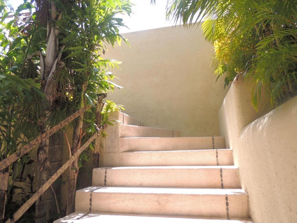 Tres, Villas Brisas, Guitarrón Villa Acapulco