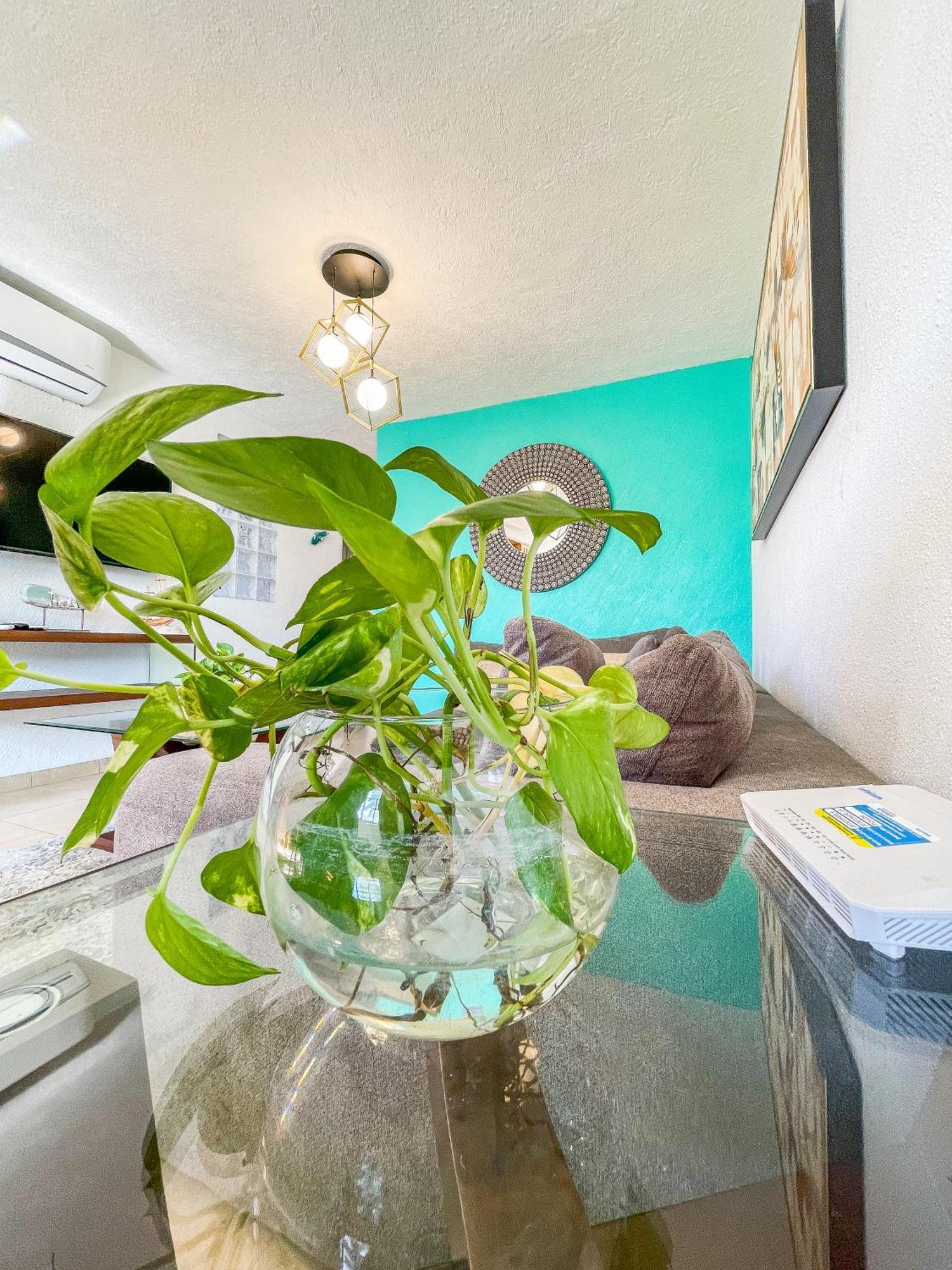 Departamento Diamante Roof Garden-jacuzzi Acapulco