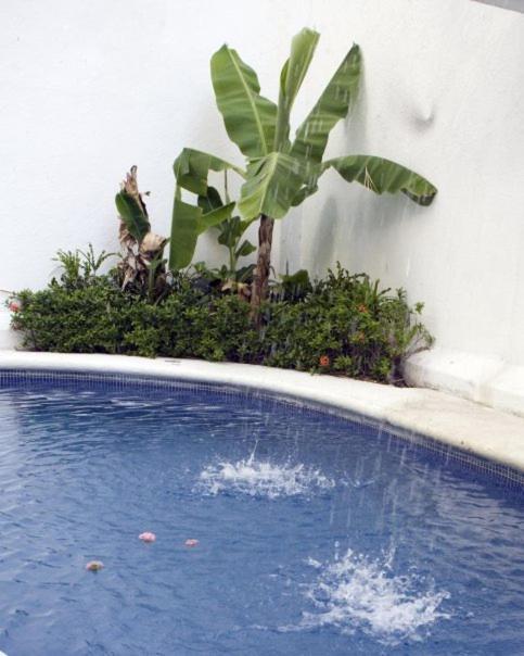 El Hotelito Hotel