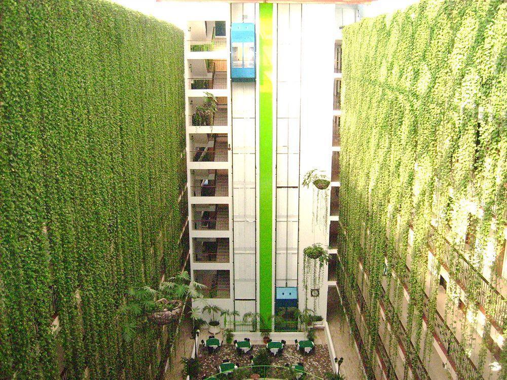 Tortuga Hotel