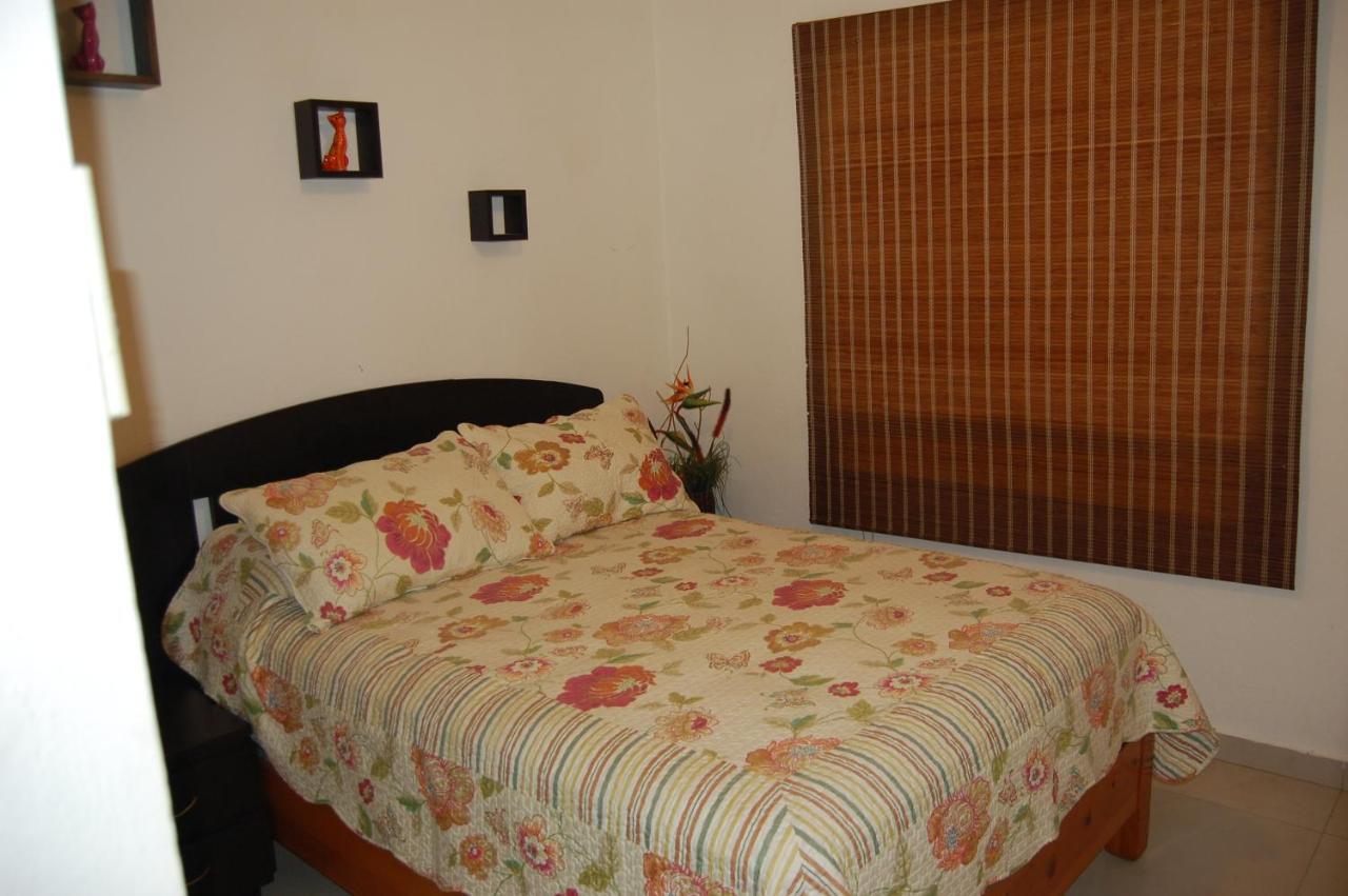 La Casa De Los Gatos Acapulco