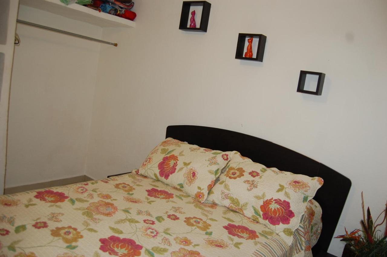La Casa De Los Gatos
