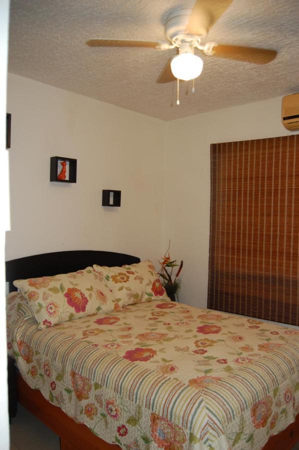 La Casa De Los Gatos