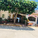 La Orquidea Bonfil