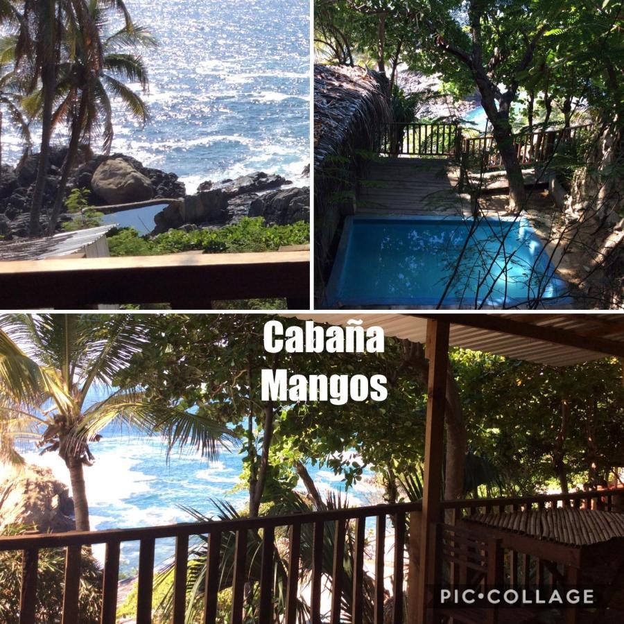 Donde Mira El Sol Retirado Y Espacioso Con Condiciones Ideales Pasar La Contingencia Con La Mayor Seguridad Hotel Acapulco