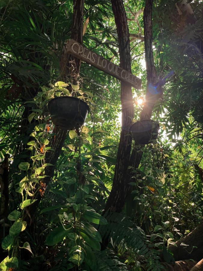 Jardín Secreto Centro Holístico