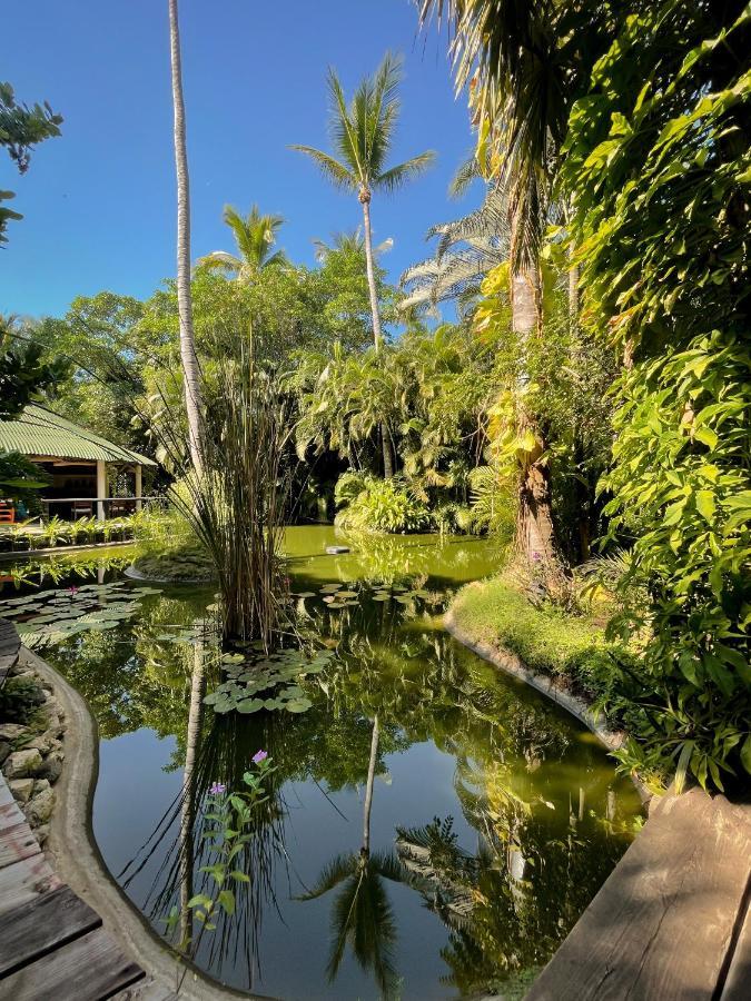 Jardín Secreto Centro Holístico Chalet Acapulco