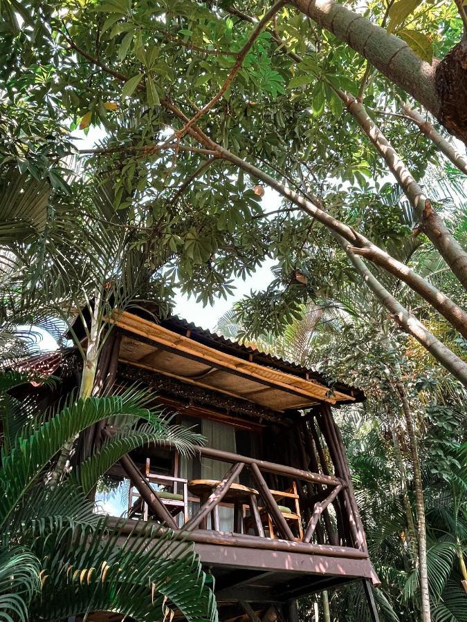 Jardín Secreto Centro Holístico Chalet Acapulco