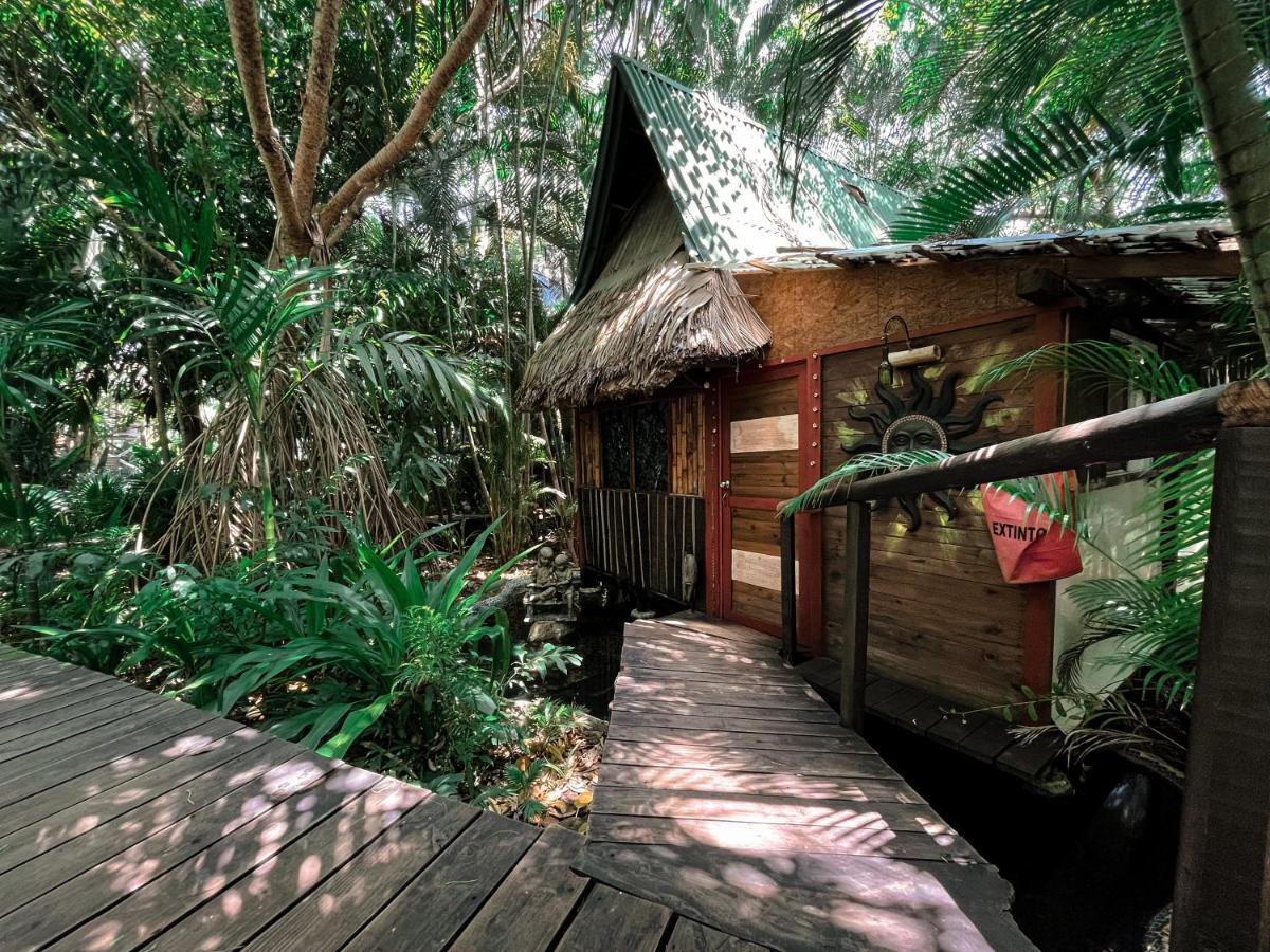 Chalet Jardin Secreto Centro Holistico Acapulco