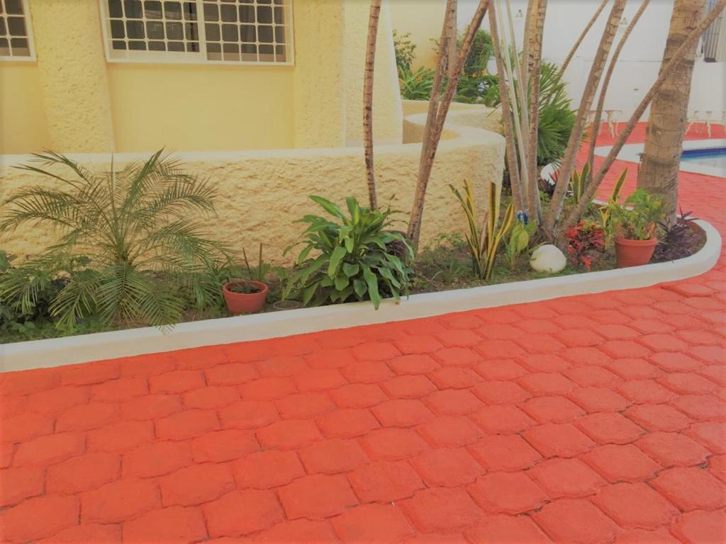 Amates Departamento Privado Con Alberca Y Aire Acondicionado Apartamento *