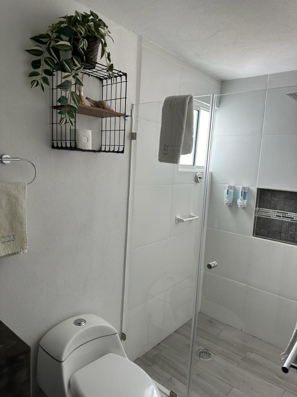 Apartamento Malaga 223