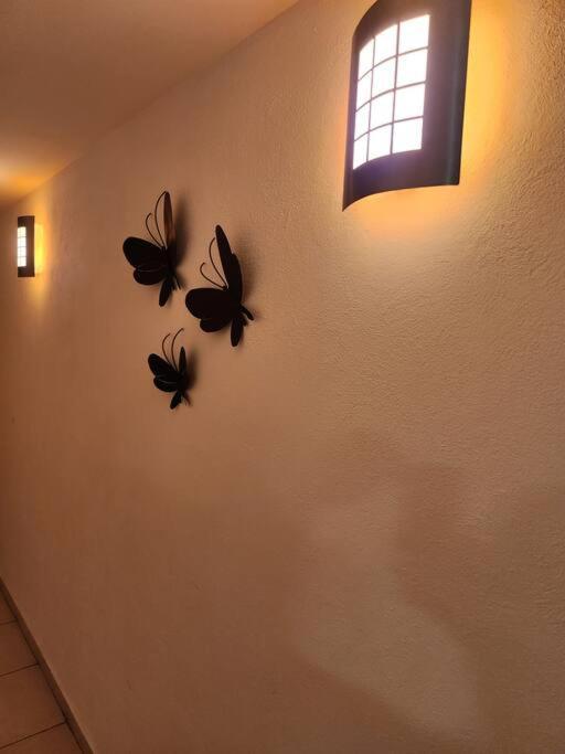 Departamento De Lujo. Seguridad 24. Playa A Pasos. Apartamento *