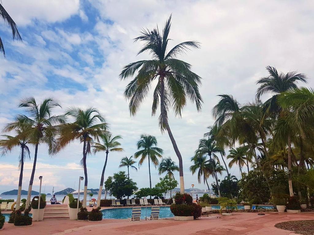 Apartment Penthouse La Palapa *