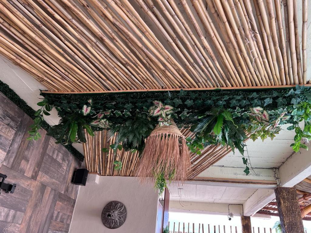 Casa-noria Acapulco