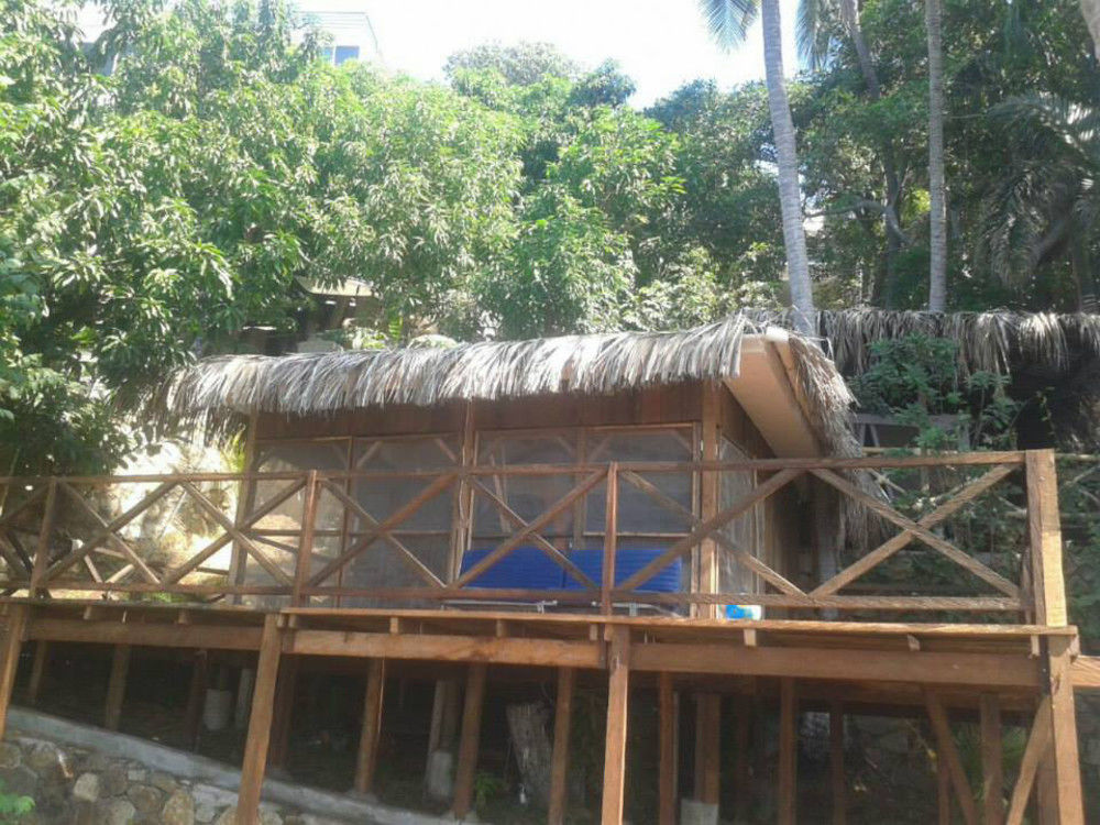 Cocos Camp 2*