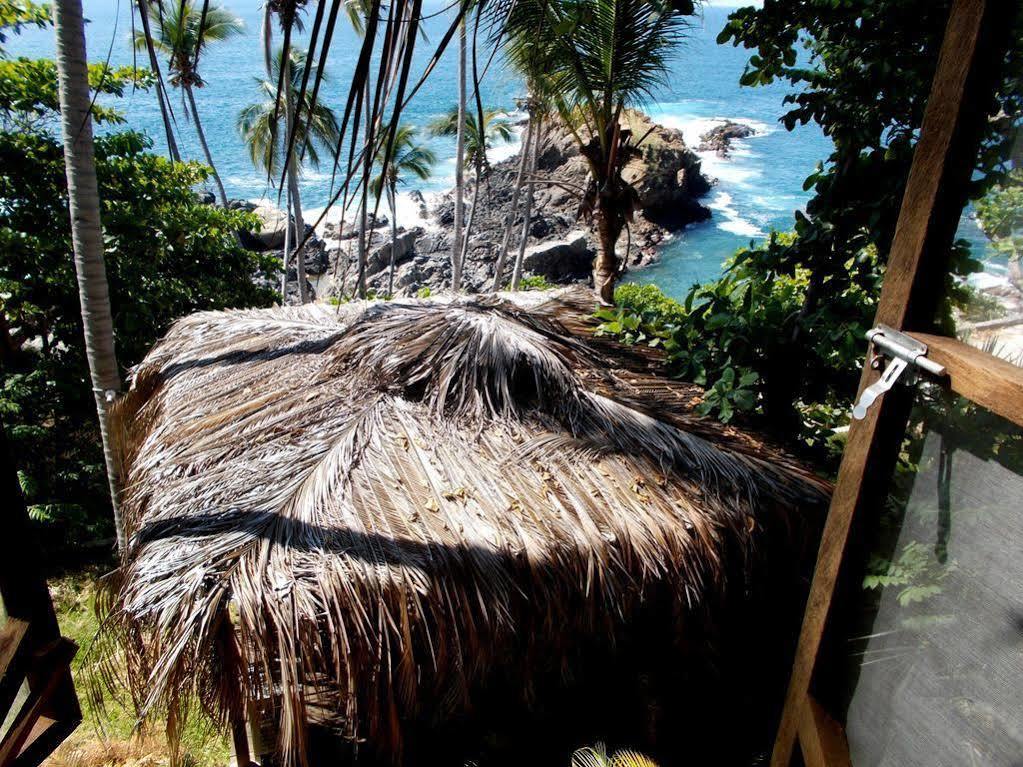 Cocos Camp 2*