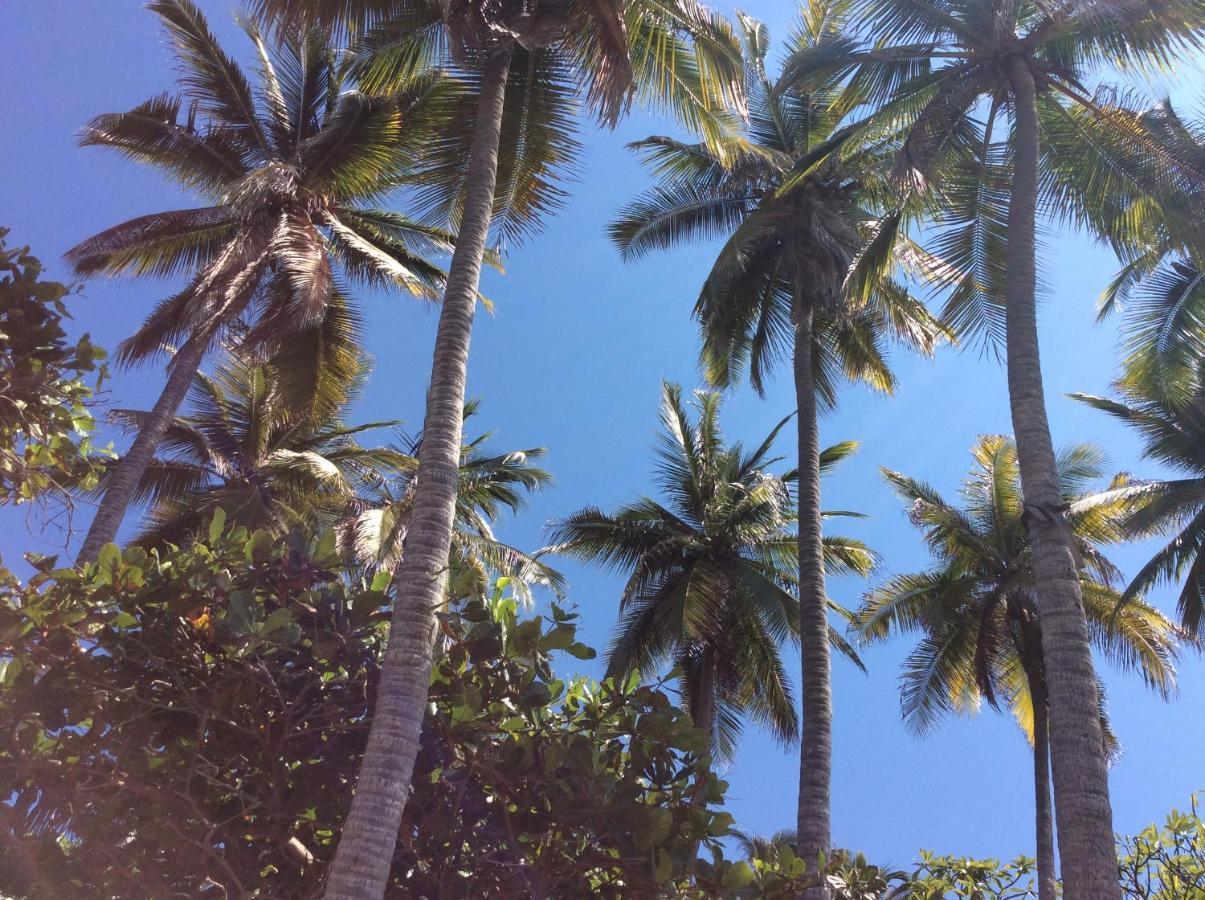 Donde Mira El Sol, Promo Primavera Hasta 50 Por Ciento (adults Only) Hotel Acapulco