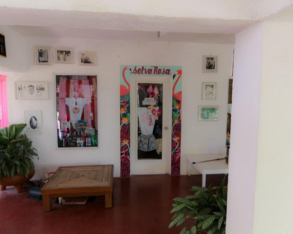 Flamingos Acapulco