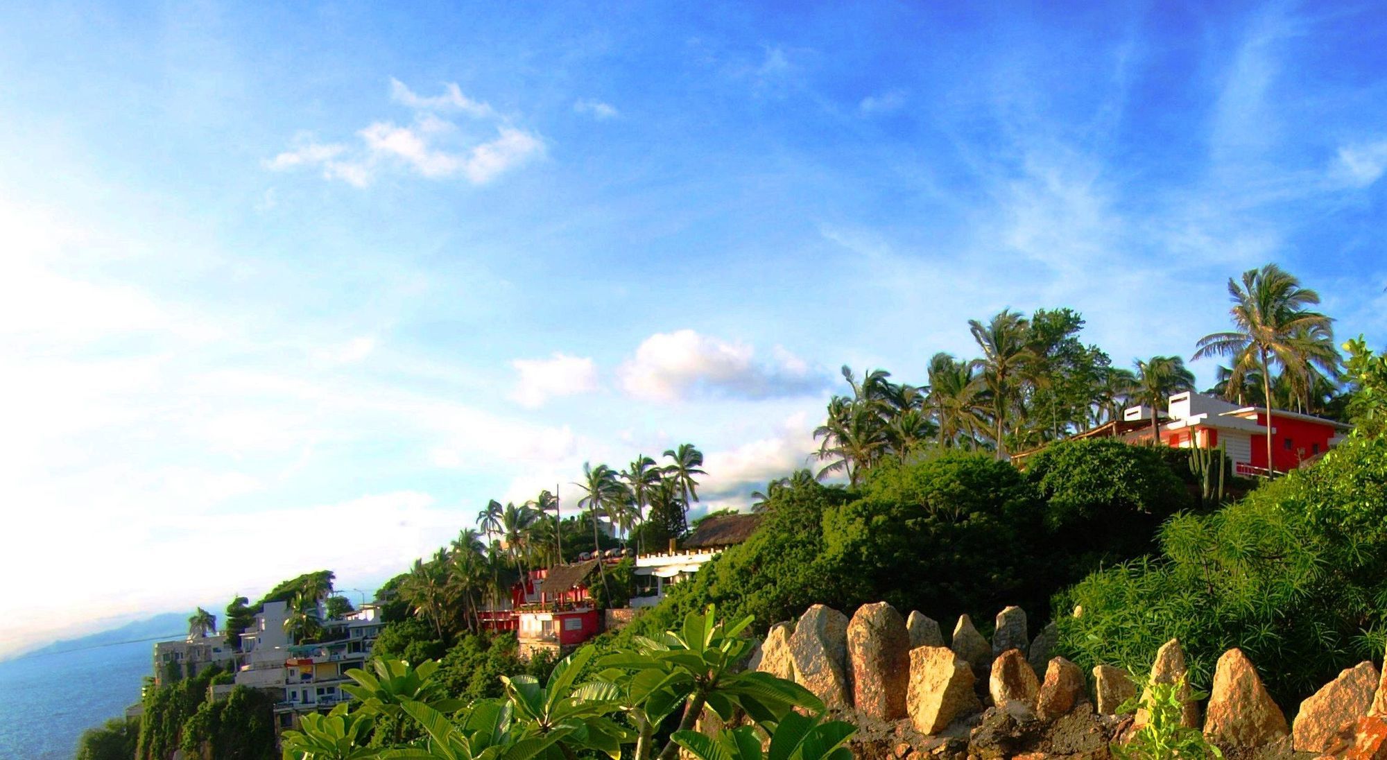 Flamingos Acapulco