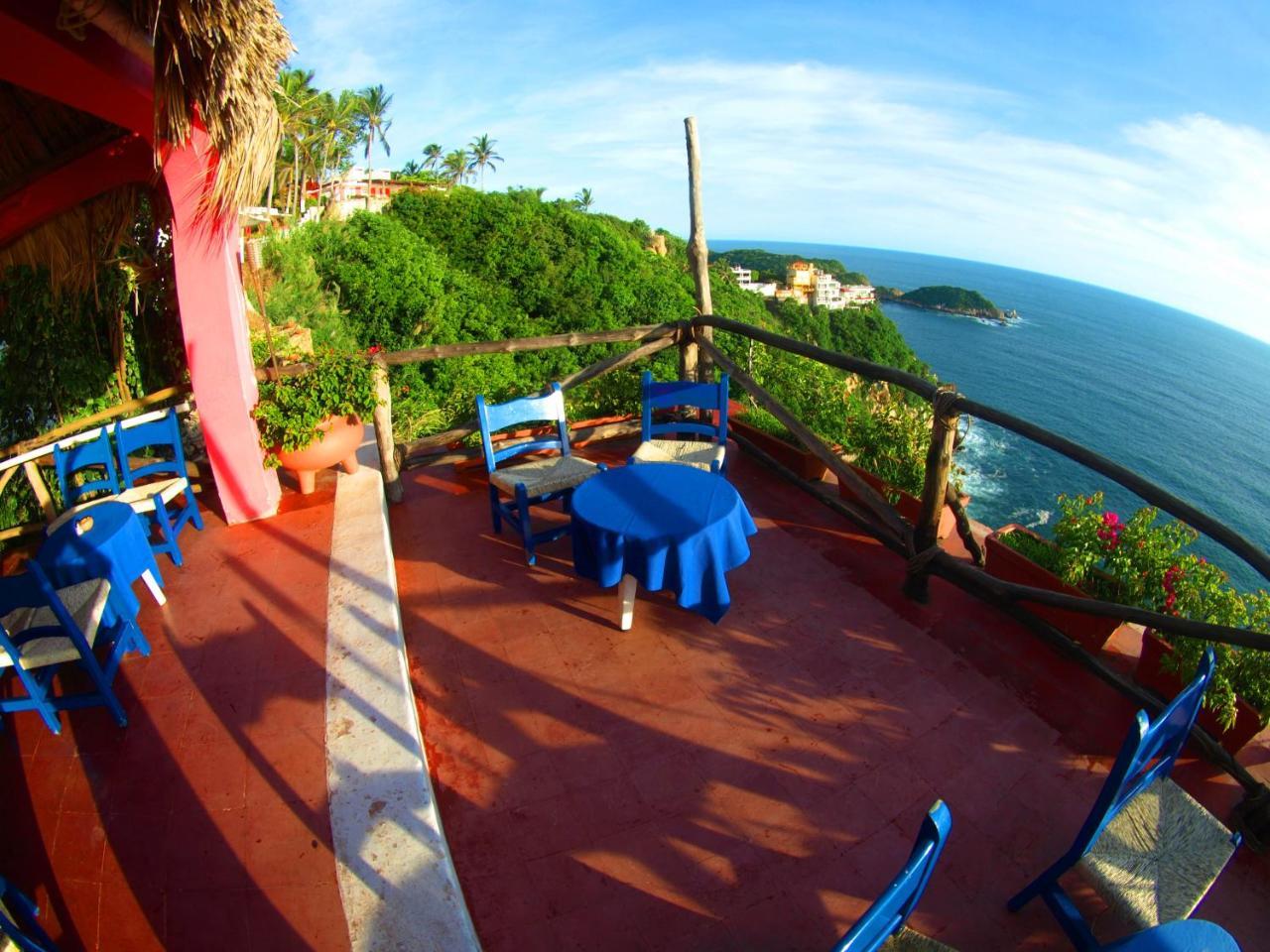 Flamingos Acapulco