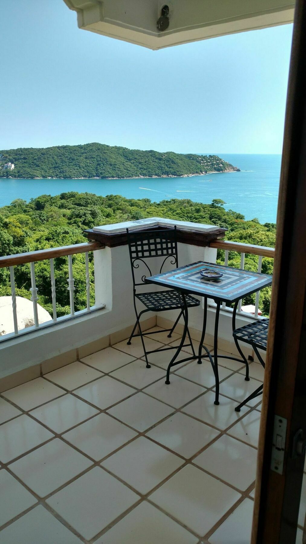 Gaviotas Acapulco